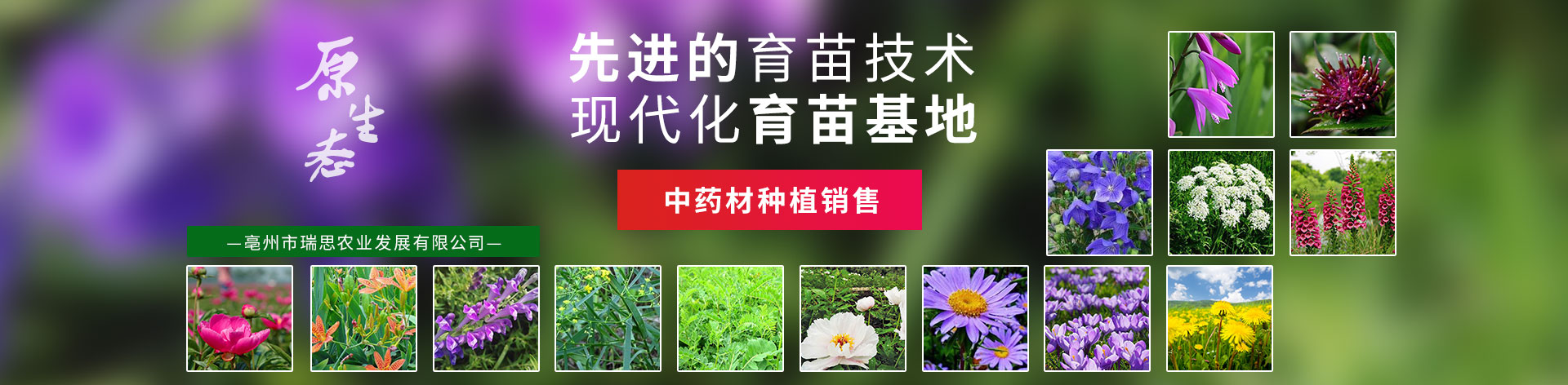 亳州市瑞思农业发展有限公司 主营产品