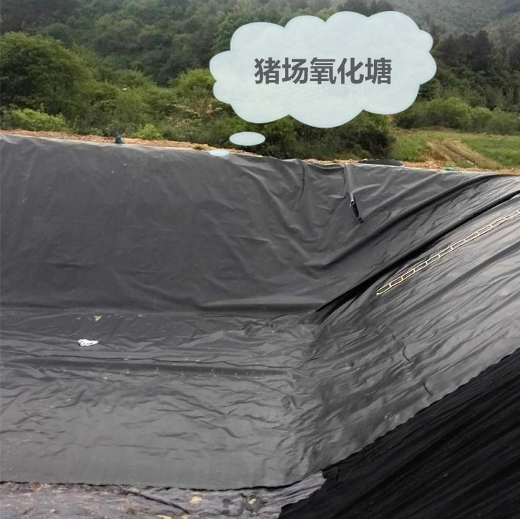 炼油厂做基础防渗层的2mm厚美标PE膜山东企业