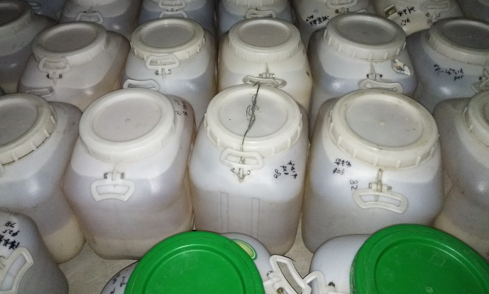 贵州洋槐蜂蜜批发预售 75kg/桶41.5-42.5波美度 专业代工贴牌