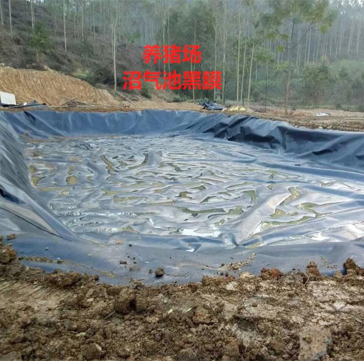 电厂灰坝防渗防污工程用HDPE膜哪里有