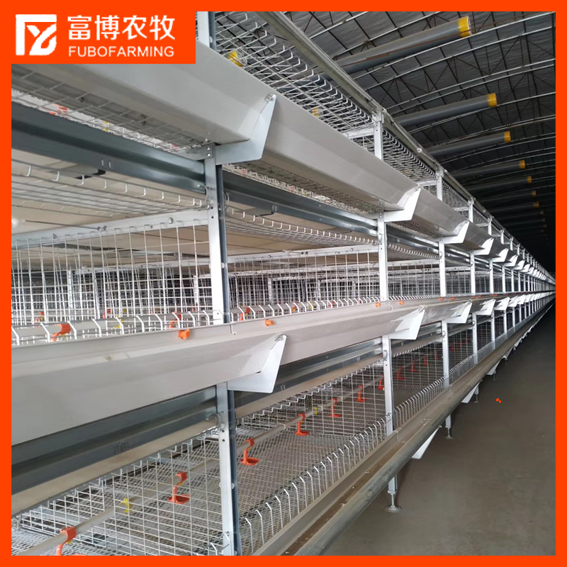 自动清粪鸡笼生产厂家直销，H型鸡笼，质量保证！