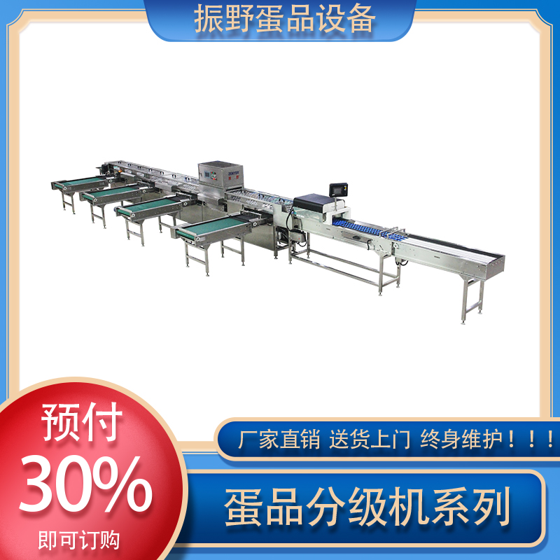 裂纹敲蛋机 振野蛋品现货 黄浦敲蛋