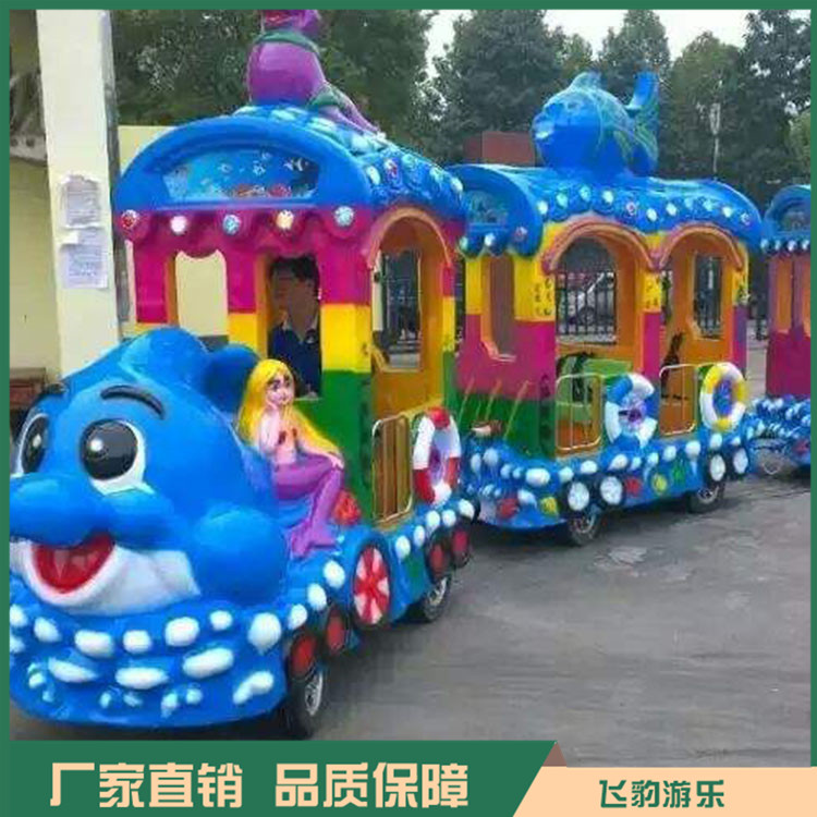 海洋小火车游乐设备 飞豹海洋小火车 厂家直销 价格优惠