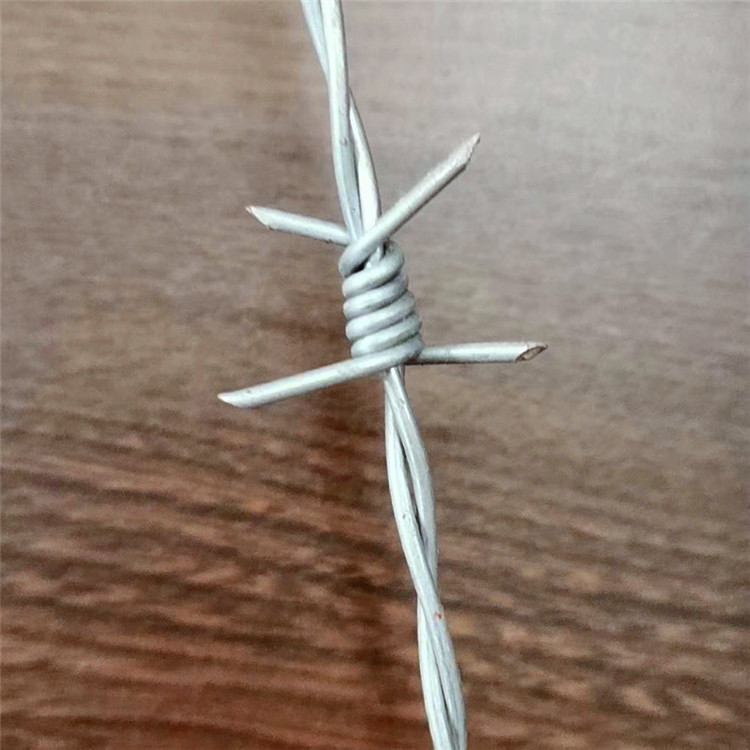 飞腾丝网 pvc刺绳 不锈钢刀片刺绳 厂家量身定制