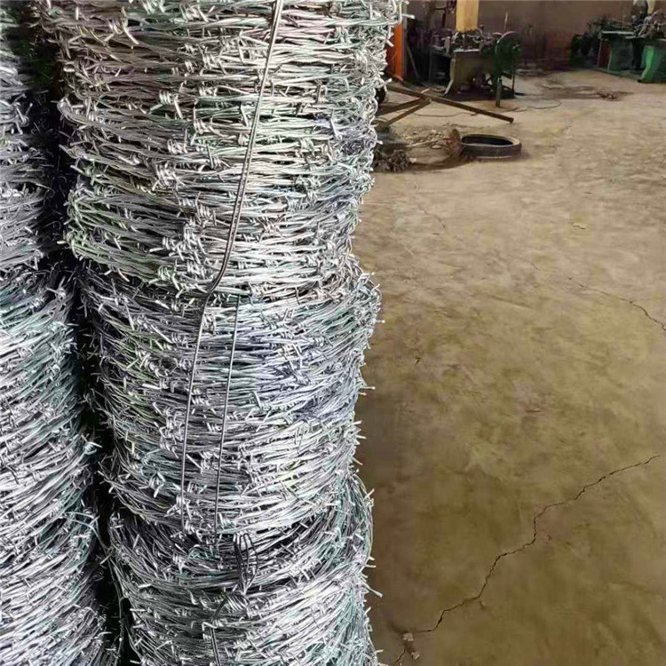  飞腾丝网 刀片刺绳 普通镀锌刺绳 价格合理