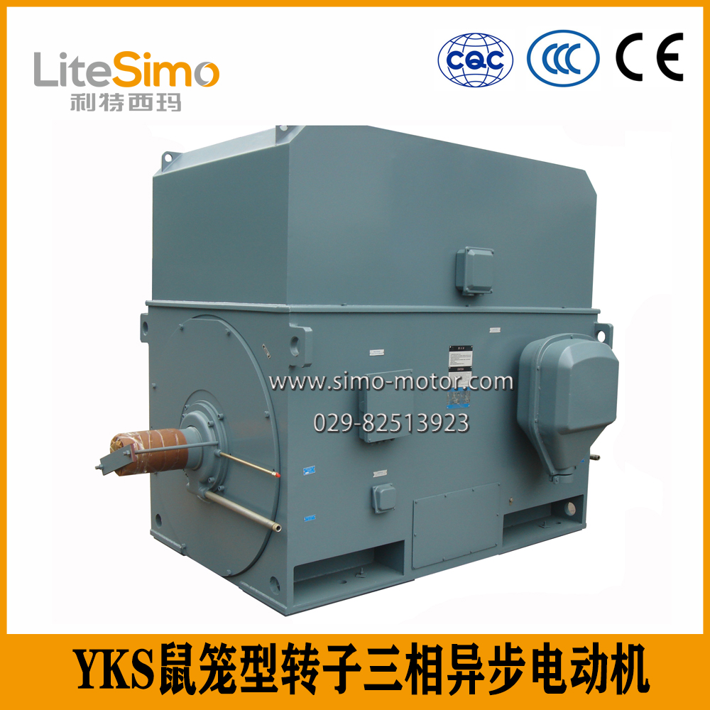  西安泰富电机高压大功率三相异步立式电动机YKS450-8 315KW 6KV