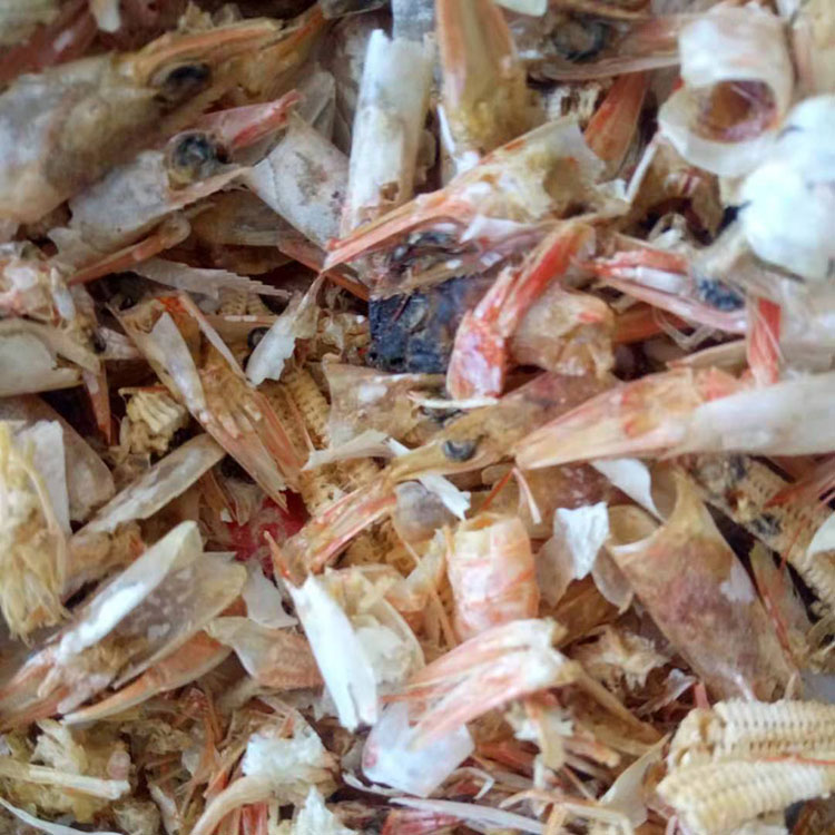 焜昊饲料 虾壳粉虾粉 水产虾壳粉 饲料级虾粉 来电报价