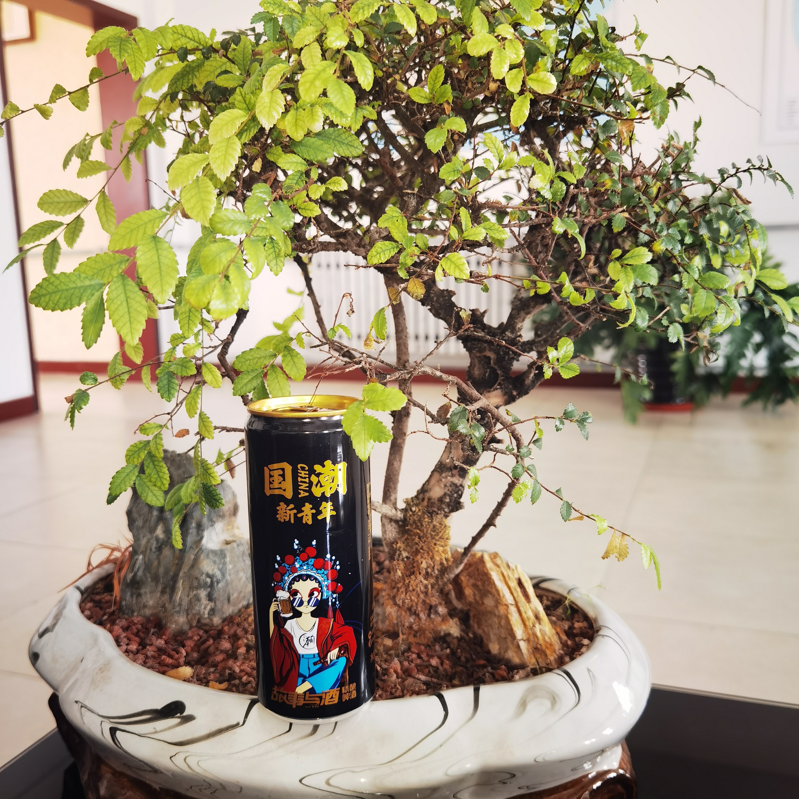 酒吧KTV罐装啤酒  沫细腻 麦香浓郁  啤酒代理