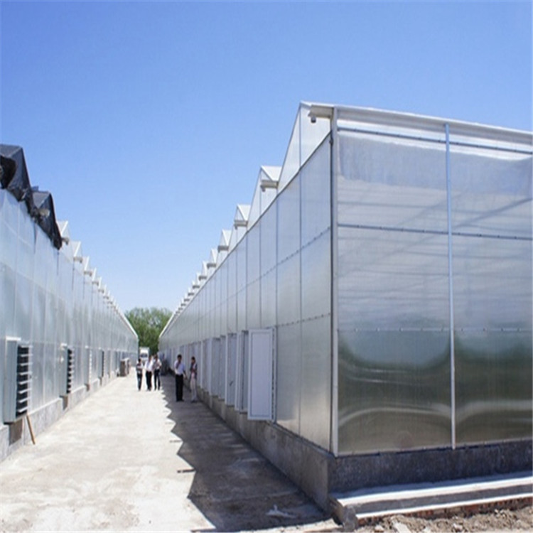 阳光板温室大棚工程 承接阳光板温室项目 搭建阳光板温室 北方温室