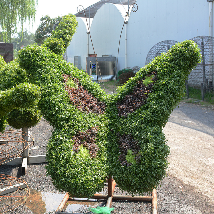 霖诺绿化 仿真绿雕厂家 山东立体绿雕植物绿雕制作