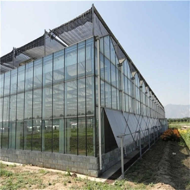 山东智能玻璃温室大棚安装 智能温室建造 可定制生产