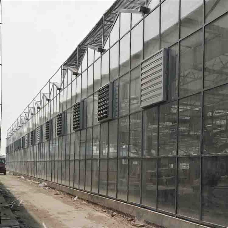 蔬菜育苗用玻璃温室建造 玻璃温室大棚价格 可加工定制