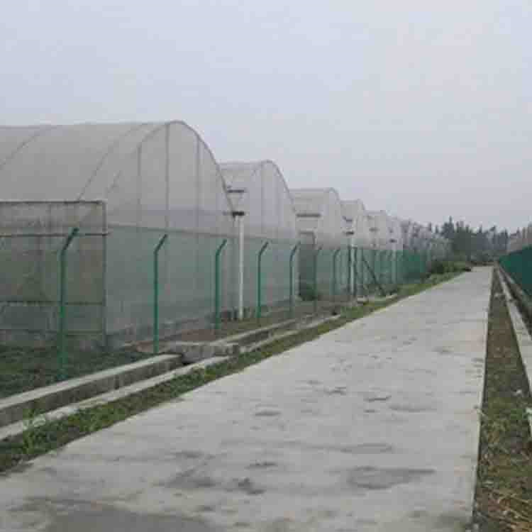 连栋薄膜温室 经济实用美观大方保温保湿