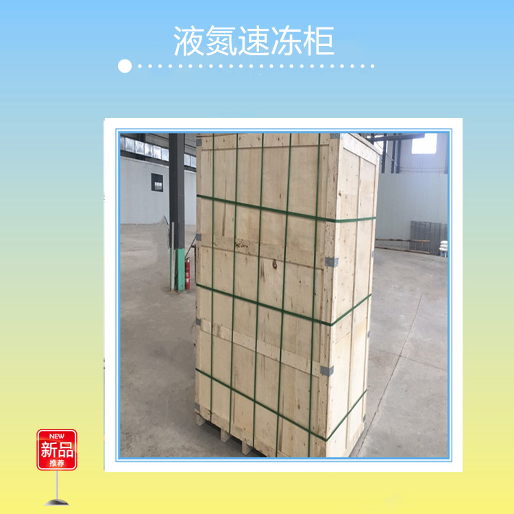 食品速冻柜产地直供 液氮速冻柜价格 工业冰柜