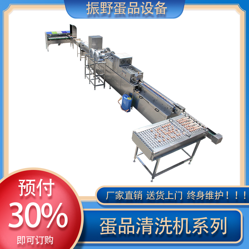 漳州洗蛋机 洗蛋机视频在线观看 振野商家