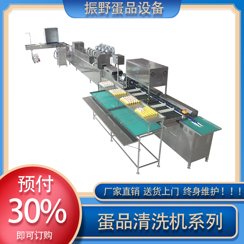 中央厨房商用鸡蛋清洗 振野智能商用设备现货 塔城地中央厨房
