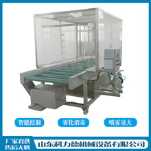 冻品海鲜包装箱消毒机 冷冻肉制品外包装消毒设备 包裹纸箱消毒杀菌机