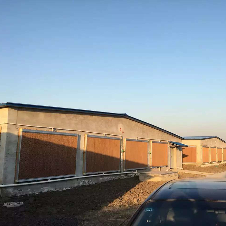 堂风报价合理 镀锌板水帘 镀锌板水帘规格可定制