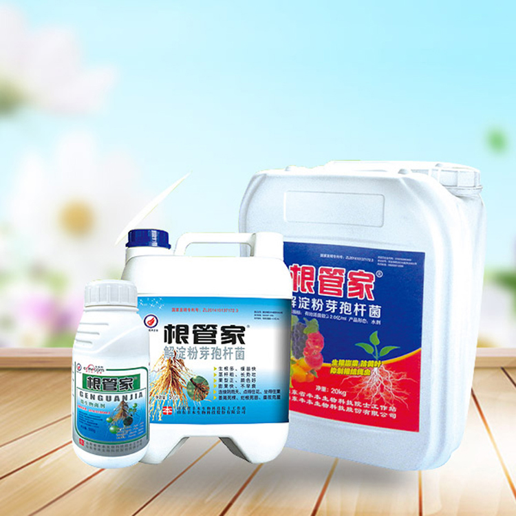 丰本根管家生产厂家 微生物菌肥出售 价格优惠