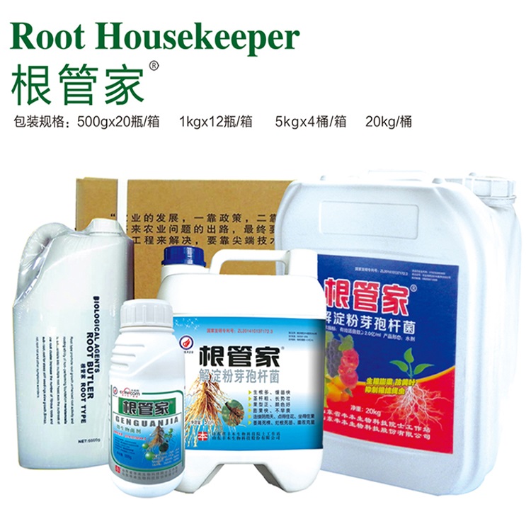 丰本根管家 销量好的微生物菌肥 炭基微生物菌剂厂家