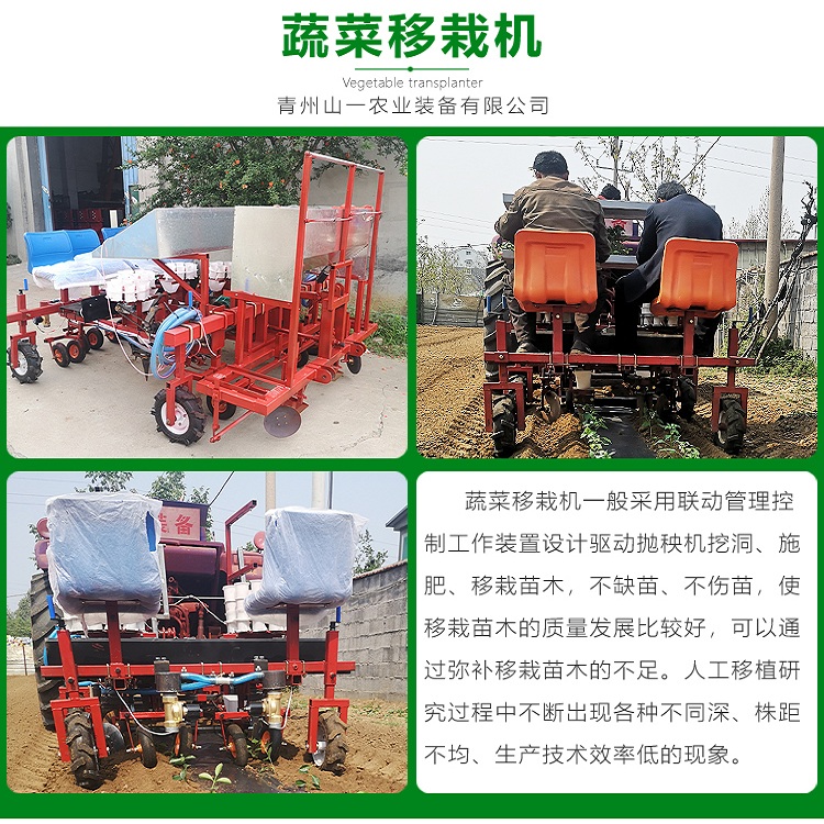 辣椒栽苗机出售 辣椒移栽机 四行辣椒移栽机操作方便灵活