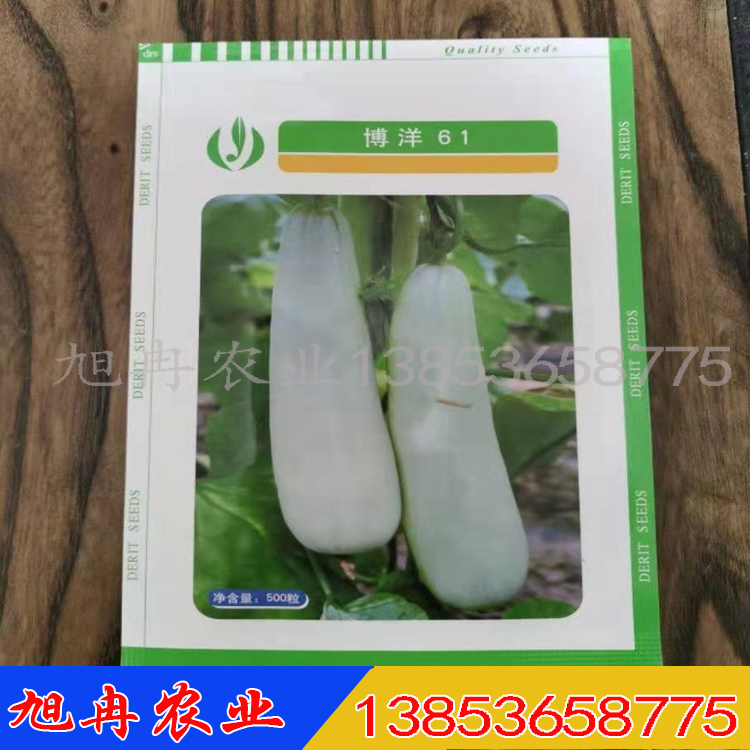 甜瓜种子 博洋甜瓜苗  旭冉农业