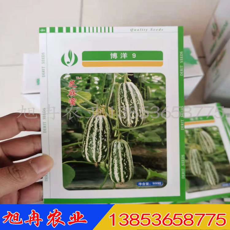 旭冉农业 羊角蜜甜瓜种子 甜瓜嫁接苗
