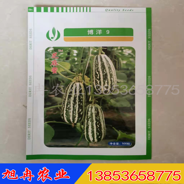 甜瓜种子 博洋9 旭冉农业 甜瓜苗 