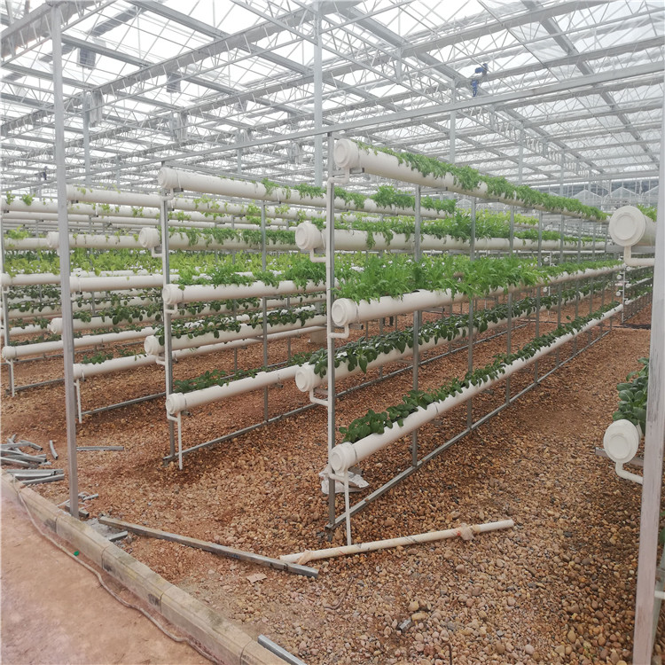 草莓甘蓝花椰菜无土栽培基质  进口椰糠育苗有机基质