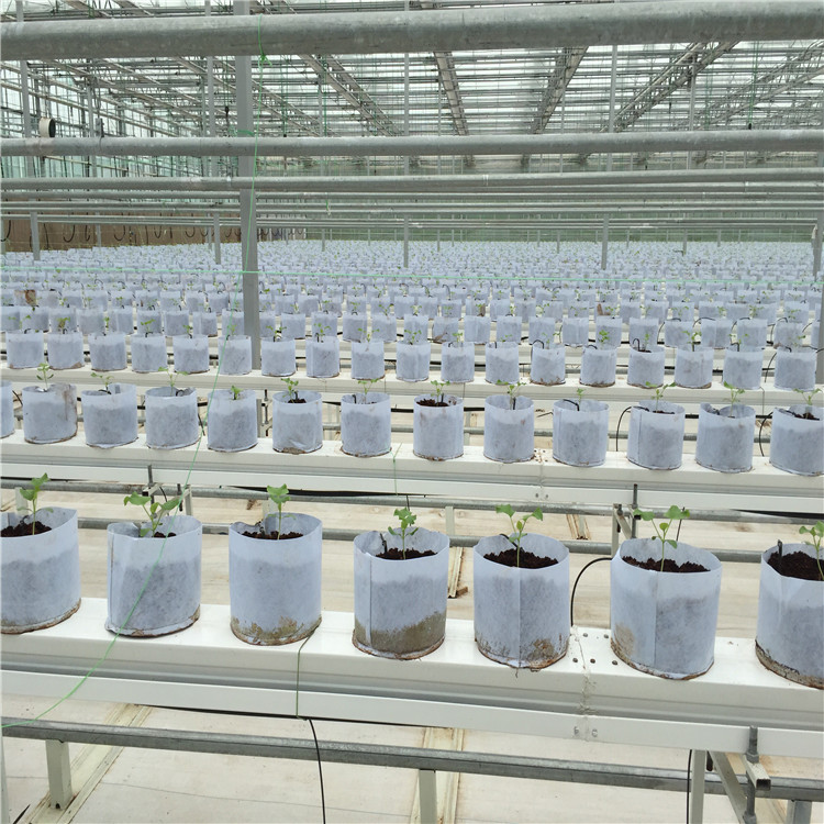 欢迎咨询荷兰模式种植系统技术  无土栽培技术 厂家维护