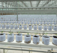 欢迎咨询荷兰模式种植系统技术  无土栽培技术 厂家维护