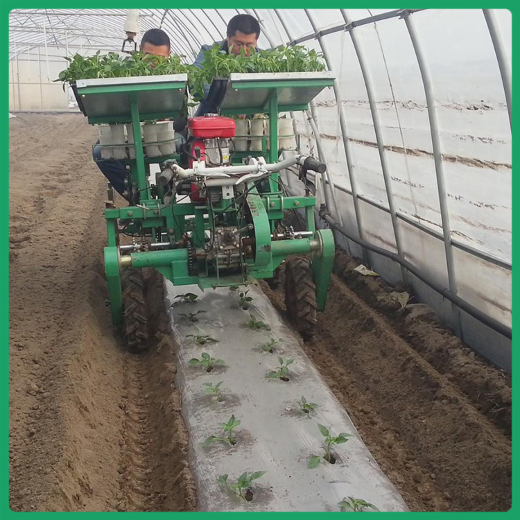 辣椒移栽机 华龙移栽机 秧苗定植机械 厂家批发