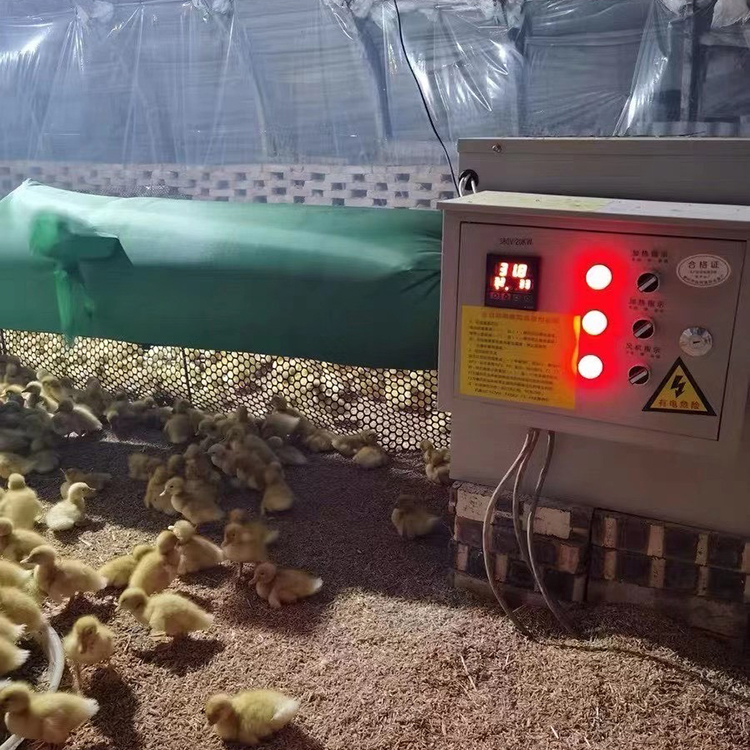 育雏专用猪圈鸡舍鸭舍鹅舍养殖电暖风机