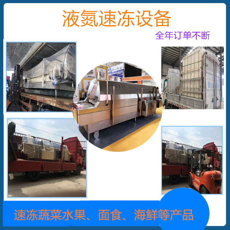 厂家直销 不锈钢隧道式液氮速冻机 果蔬隧道式单体速冻机价格