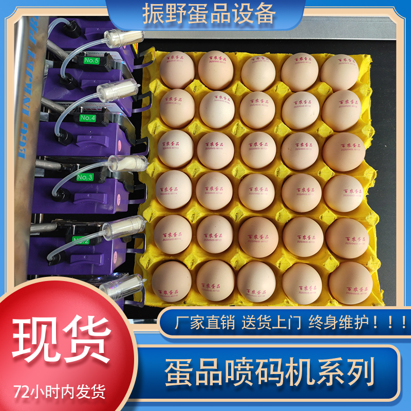 振野报价 小型鸡蛋喷码机 绍兴鸡蛋喷码机