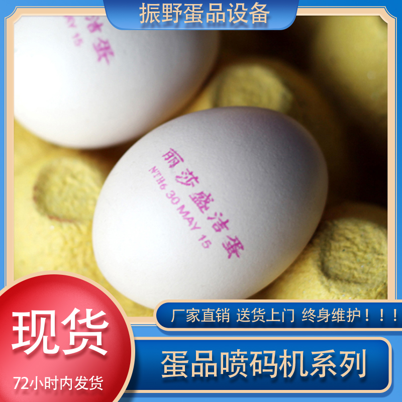 伊春鸡蛋喷码机 振野 高速鸡蛋喷码机