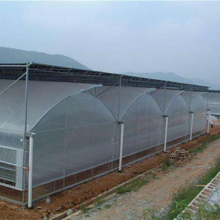 花卉种植大棚  育苗大棚建设  大棚批发