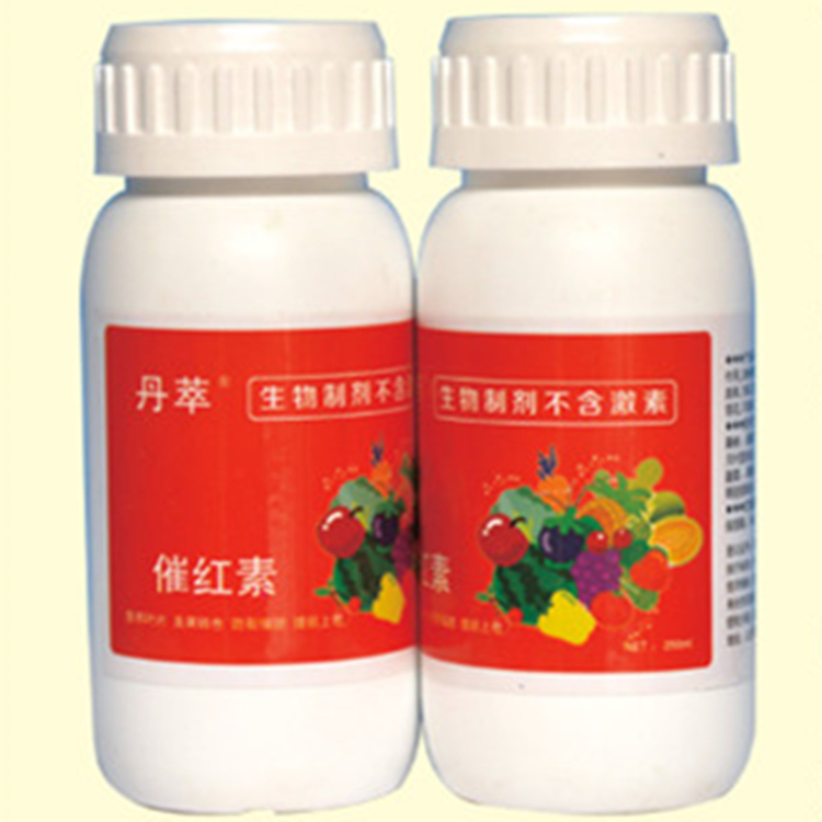 番茄 西红柿专用 催红素 催熟剂 一点红