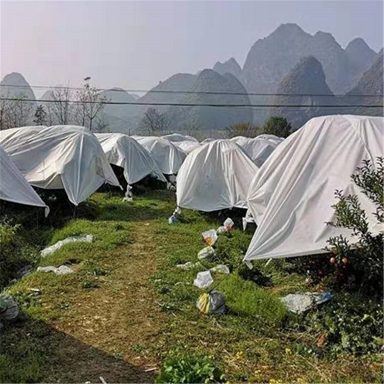 供应无纺布  过滤长丝丙纶无纺布  pp纺粘型 