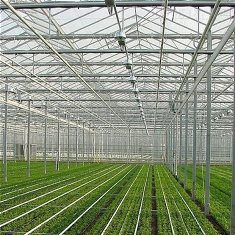 智能连栋温室搭建 连栋温室工程 北方连栋温室建造商 