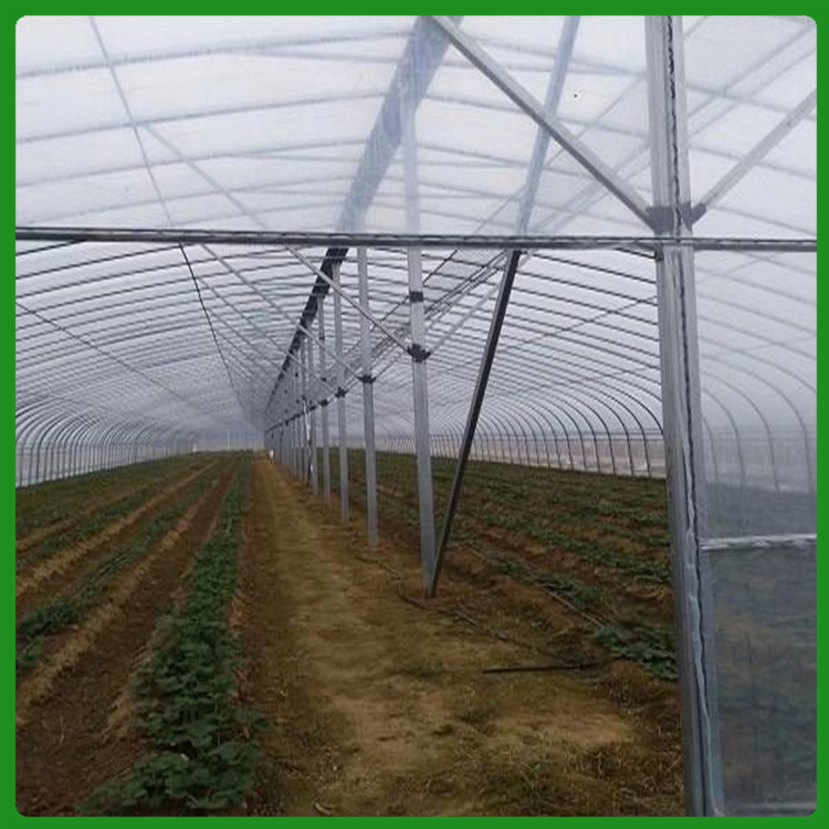 寿光种植温室 薄膜蔬菜温室 薄膜连栋温室建设