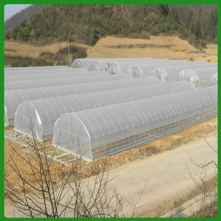 蔬菜种植薄膜温室大棚 价格优惠 北方园艺