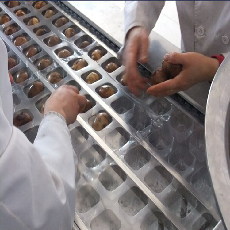 卤蛋鸭蛋真空包装机 鹌鹑蛋真空包装机 全自动拉伸膜包装机