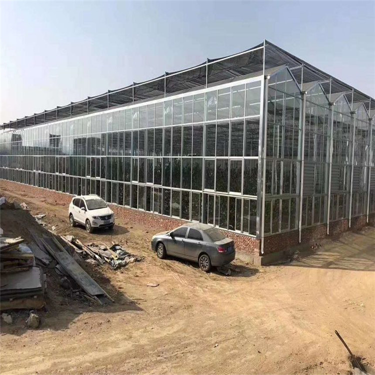 北方阳光板温室建造 阳光板温室大棚设计 阳光板大棚安装