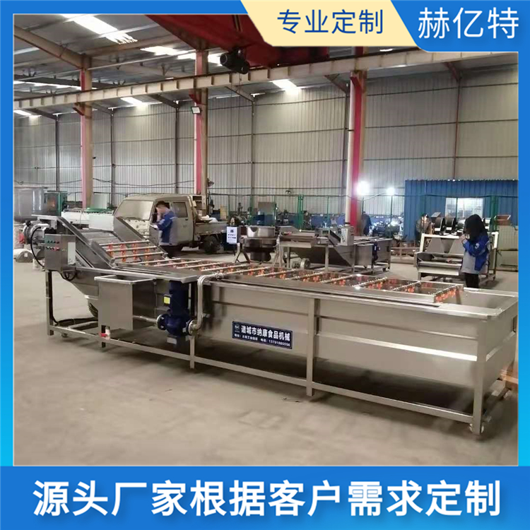 小龙虾气泡清洗机 果蔬高压喷淋鼓泡机 全自动净菜清洗加工设备  赫亿特机械