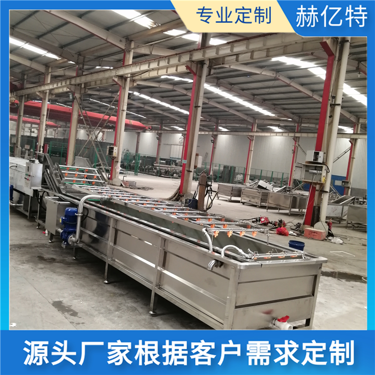 多功能蔬菜气泡清洗机 干枣鲜枣去泥清洗设备 葱叶喷淋式清洗机  赫亿特机械