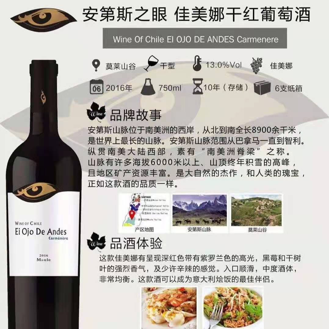 批发智利红酒 安第斯之眼价格 上海专卖