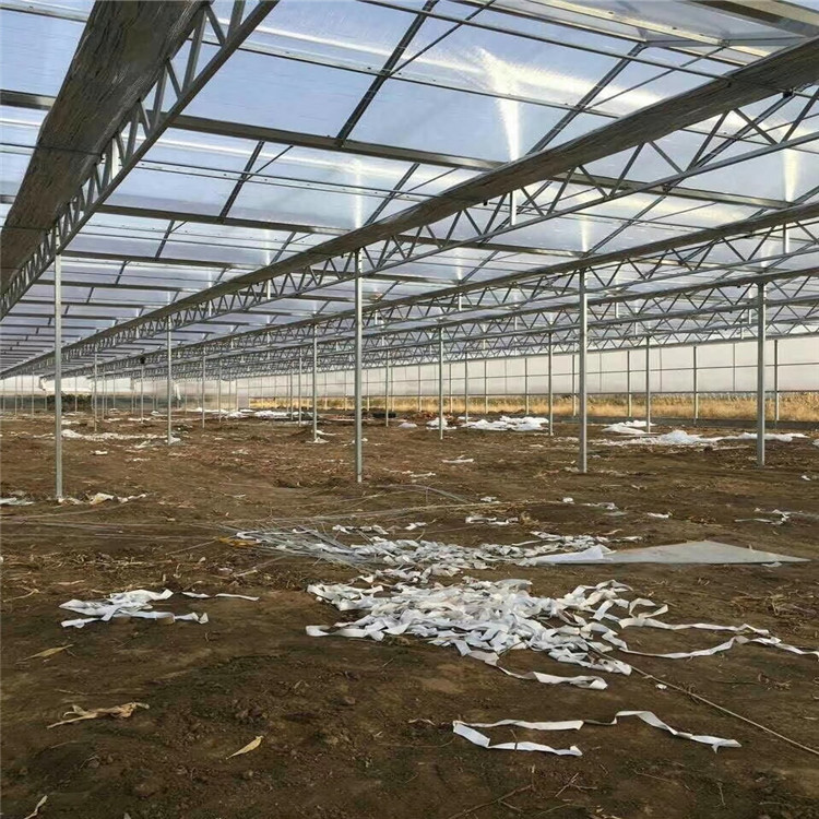 花卉苗木温室工程-温室大棚-山东山水合
