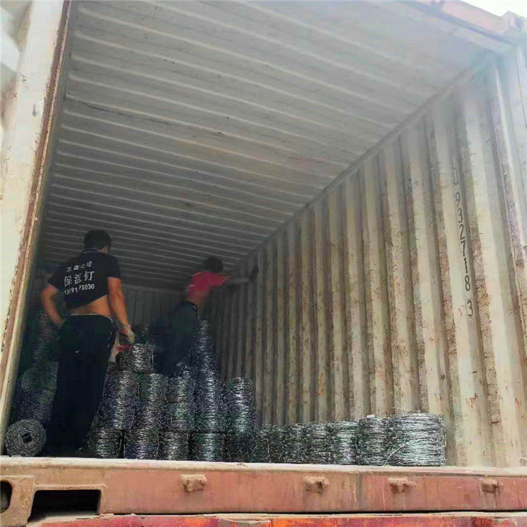  飞腾丝网 刺丝护栏网 双刀单刀刺绳 厂家量身定制