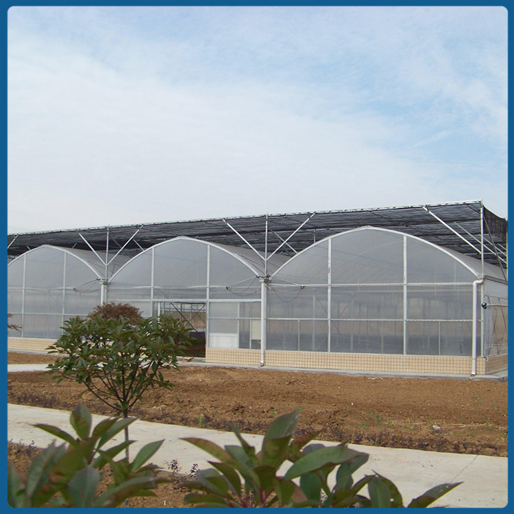连栋薄膜温室建造 山东种植大棚 整体设计安装